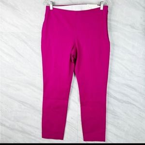 A new day skinny ankle 10R brand new pants